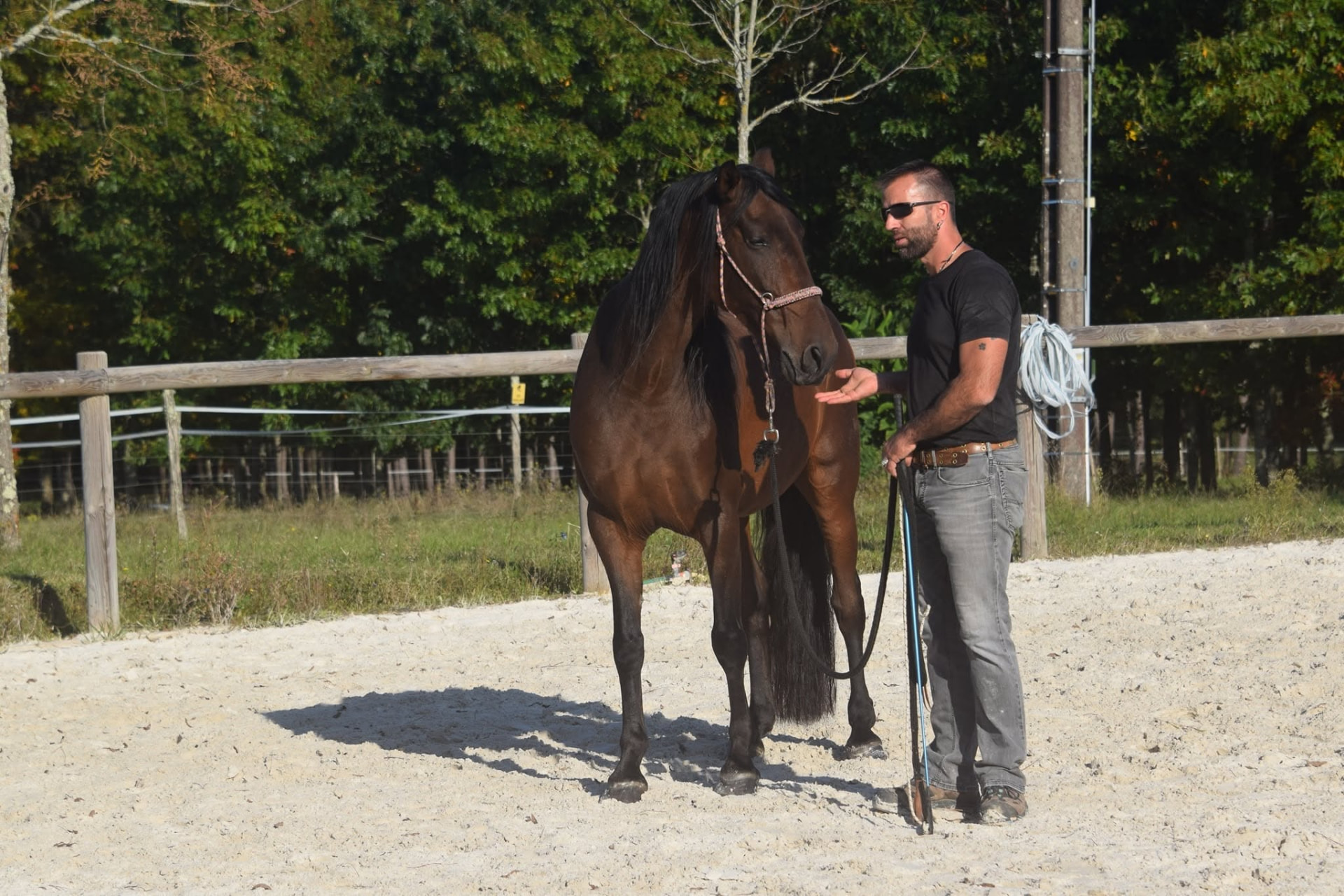 Des occasions de progresser, à pied comme à cheval